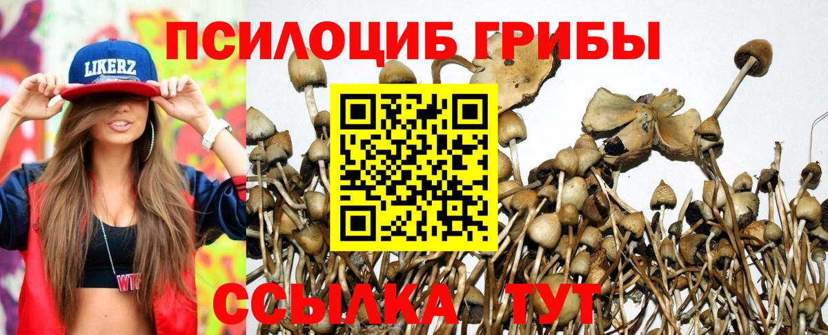 Галлюциногенные грибы Magic Shrooms Балашов