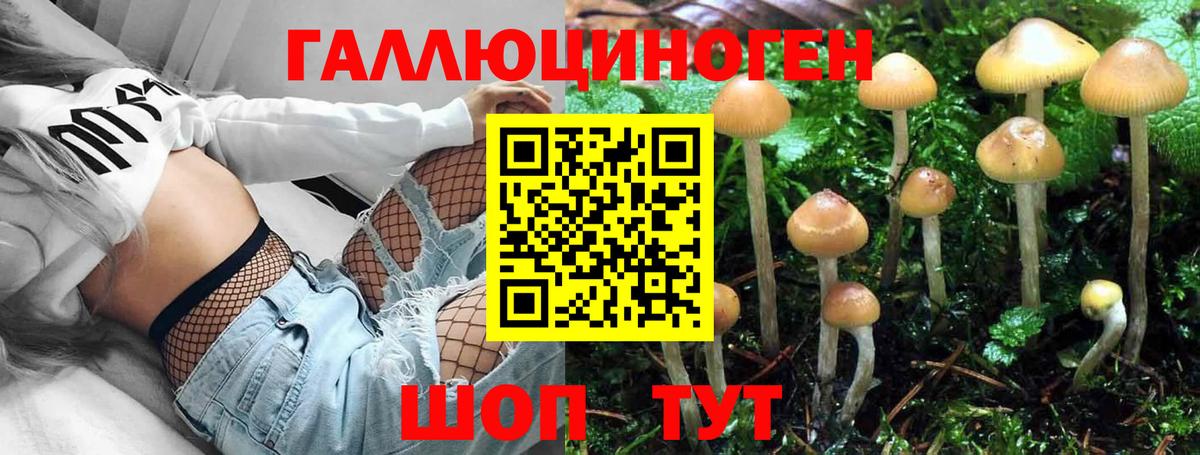 Псилоцибиновые грибы ЛСД  Вход с VPN  Балашов 